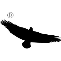 DASHLER CLOTHING logo - Similar company to Indoi