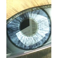 Oculus Consulting Group LLC
