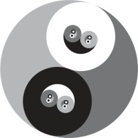 Pellawebmaster • Your Webmaster Online logo - Similar company to Skymappy Marketing Llc
