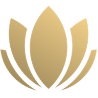 Digital Wisdom logo - Similar company to Vivify.Ai