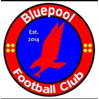 Bluepool Football Club logo - Similar company to Whickham Football Club