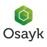 Osayk Plataforma logo - Similar company to OpsFactor