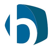 BLITZ BUSINESS SERVICE par abréviation BLITZ B.S. logo - Similar company to Soft Actions