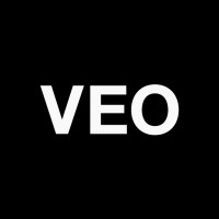 VEO Branding Company logo - Similar company to Alium Technologies