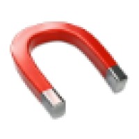 Magnetic Seo