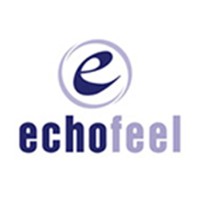 Echofeel Technology Solutions logo - Similar company to Kenweb Technologies