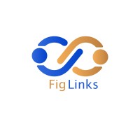 FigLinks logo - Similar company to Bitflow Finance