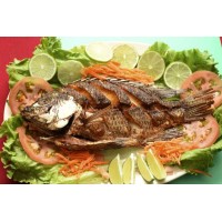 Victoria Fish Place logo - Similar company to Zohran Natural