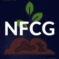 New Frontier Consulting Group logo - Similar company to New Frontier Consulting