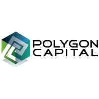 Polygon Capital, LLC logo - Similar company to Rwr Advisors