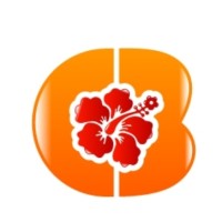 Caribbrew logo - Similar company to Walking While Black: L.O.V.E. Is The Answer