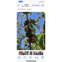 Not mine logo - Similar company to Multimdia