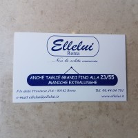 Camiceria Ellelui logo - Similar company to Emmanuel Camiceria