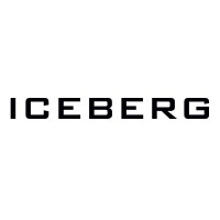 ICEBERG INTERACTIVE LLC logo - Similar company to Maryco