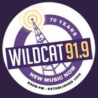 Wildcat 91.9 logo - Similar company to All Things Marketing