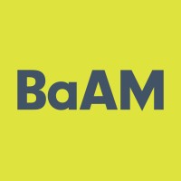BaAM Productions logo - Similar company to Zappychat