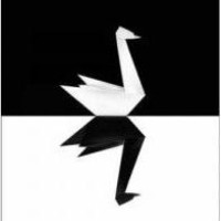 Black Swan Society logo - Similar company to Greek American Legacy Association At Northwestern University