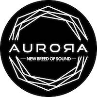 Aurora DSP logo - Similar company to Implution Aps