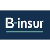 B-insur logo - Similar company to Orisma Bvba