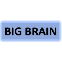 BIG BRAIN logo - Similar company to Big Brain