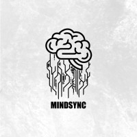 MindSync Electronics Trading LLC logo - Similar company to Blue Cloud Digital Solutions
