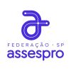 Federação ASSESPRO-SP | Startups e Empresas Brasileiras de TIC - Estado de São Paulo logo - Similar company to Wiplay