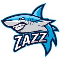 ZAZZ Marketing logo - Similar company to Advenient Corp