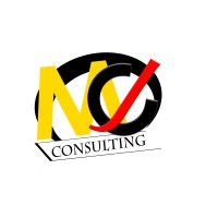 MCJ CONSULTING logo - Similar company to Raion Connect
