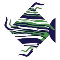 Geosinergy sas logo - Similar company to Robotronica