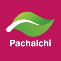 Pachalchi