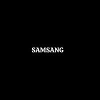Samsang logo - Similar company to Samsang