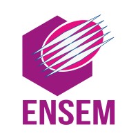 Ecole Nationale Supérieure d'Electricité et de Mécanique logo - Similar company to Association Des Elèves Ingénieurs - Adei Ensem