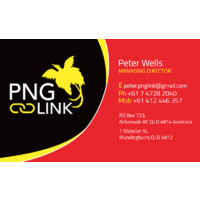 PNG Link logo - Similar company to Fish Reef Project