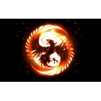 PHOENIX CINEMATOGRAFICA logo - Similar company to Archi.Media Trust Onlus