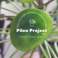 Pilea Project logo - Similar company to Les Petites Choses - Ressources Créatives