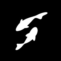 Weird Fishes Films logo - Similar company to Weird Fishes Studio