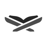 SGN Academy logo - Similar company to Shibli Global Network