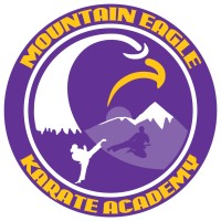 Mountain Eagle Karate Academy logo - Similar company to Mid America Karate Academy