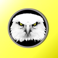 Omnivision Monitoring logo - Similar company to Genren