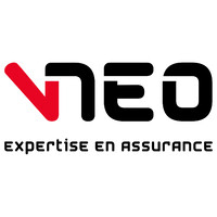 V-NEO Inc. logo - Similar company to Lider It Solutions
