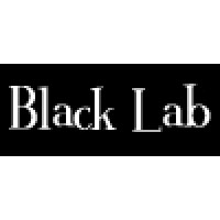 Black Lab logo - Similar company to Ki Studios