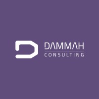 Dammah Consulting logo - Similar company to Taqniyattech