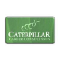 Caterpillar Career Consultants, Inc logo - Similar company to Power Technology (Madagascar)