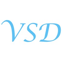 VSD logo - Similar company to Vsd Holdings