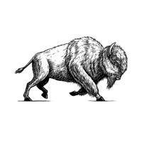 White Buffalo Yoga logo - Similar company to Ltf Technology