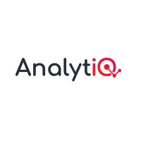 AnalytIQ IT Solutions logo - Similar company to Pitcia It