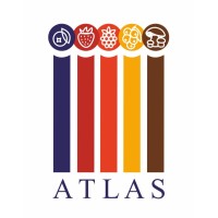 Atlas Export LLC logo - Similar company to Evans Efficiency Experts