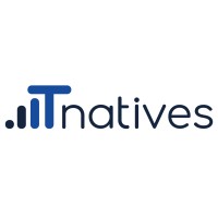 IT Natives logo - Similar company to Bsce