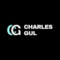 Charles Gul logo - Similar company to Metaroom