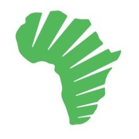 Tengwa Africa logo - Similar company to Bak Logistics